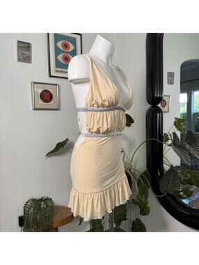 Tiger Mist Cream and Silver Dress